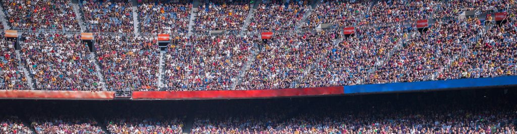 a crowd of people in a stadium